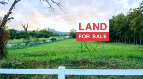 big land green grass and trees land for sale russellville ar